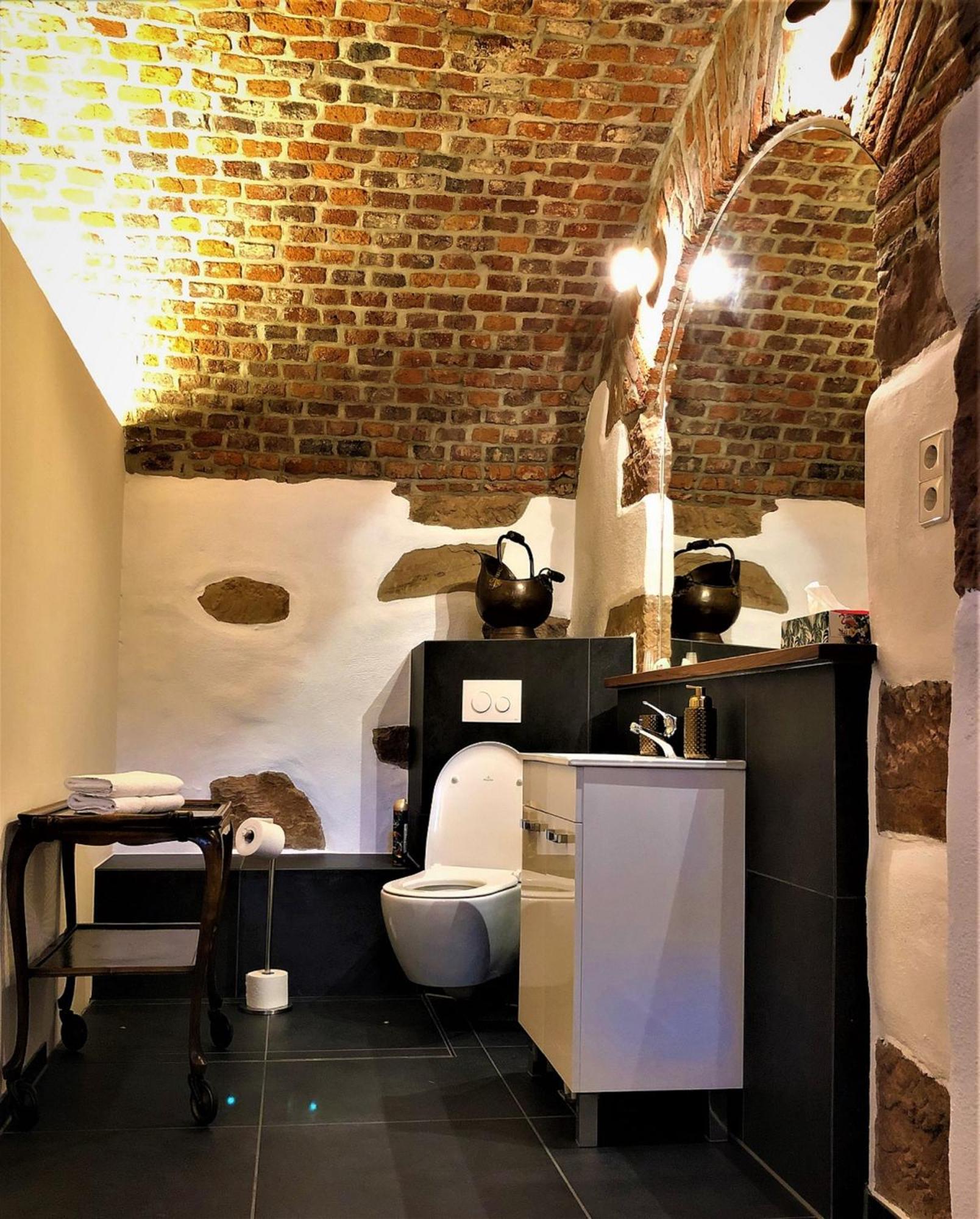 Historical Luxury Homes - Stadtvilla Mit Jacuzzi Und Garten Friburgo de Brisgovia Exterior foto